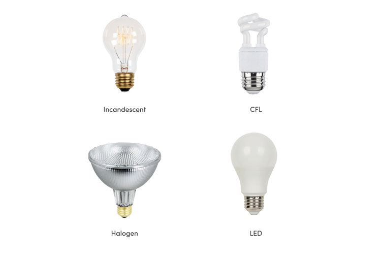 Pot light deals bulb types